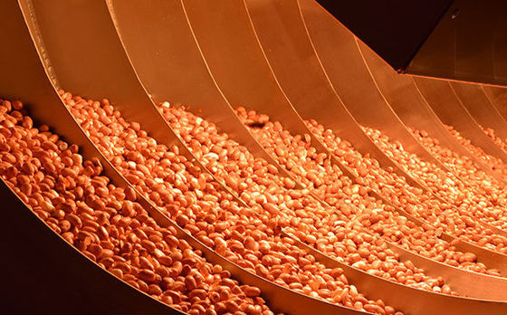 gérmenes más secos rotatorios infrarrojos de la matanza de la comida 2000kg/H